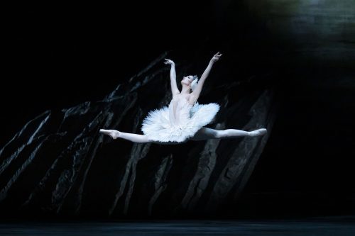 Lauren Cuthbertson as “Odette” in Swan Lake at the Royal Opera House. Photo by Helen Maybanks